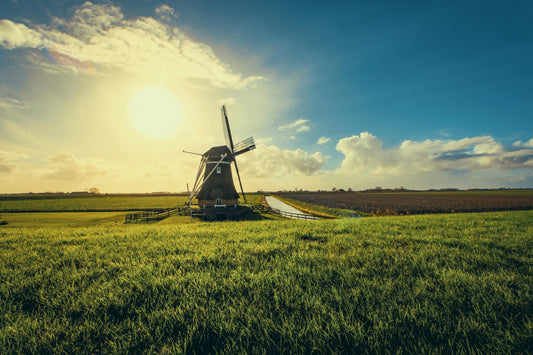 Tassenwinkels in Nederland