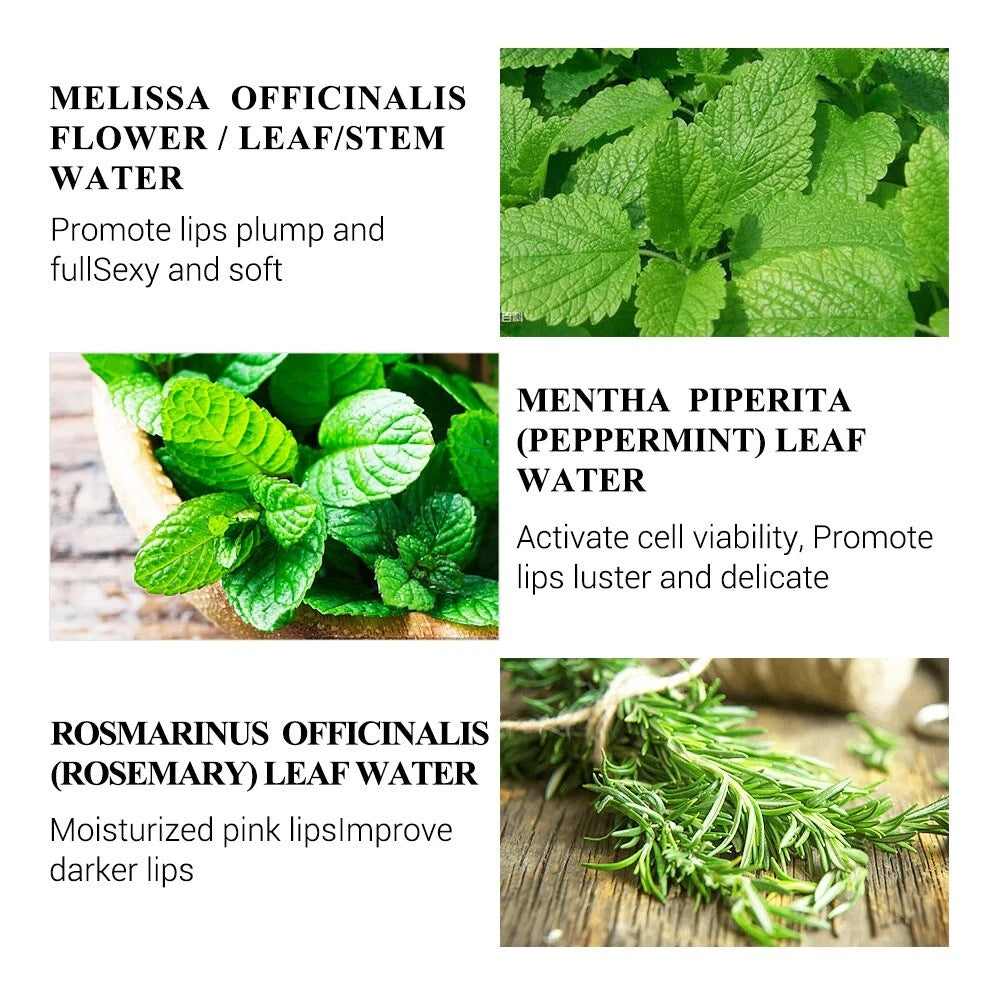 Lanbena ™ kirsuberjalýsing Hydrating Serum