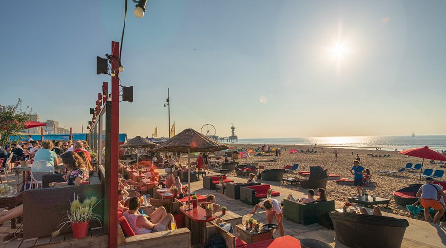 "Zicht op een drukbezochte beachclub in Scheveningen met loungebedden, palmbomen en mensen die genieten van de zon."