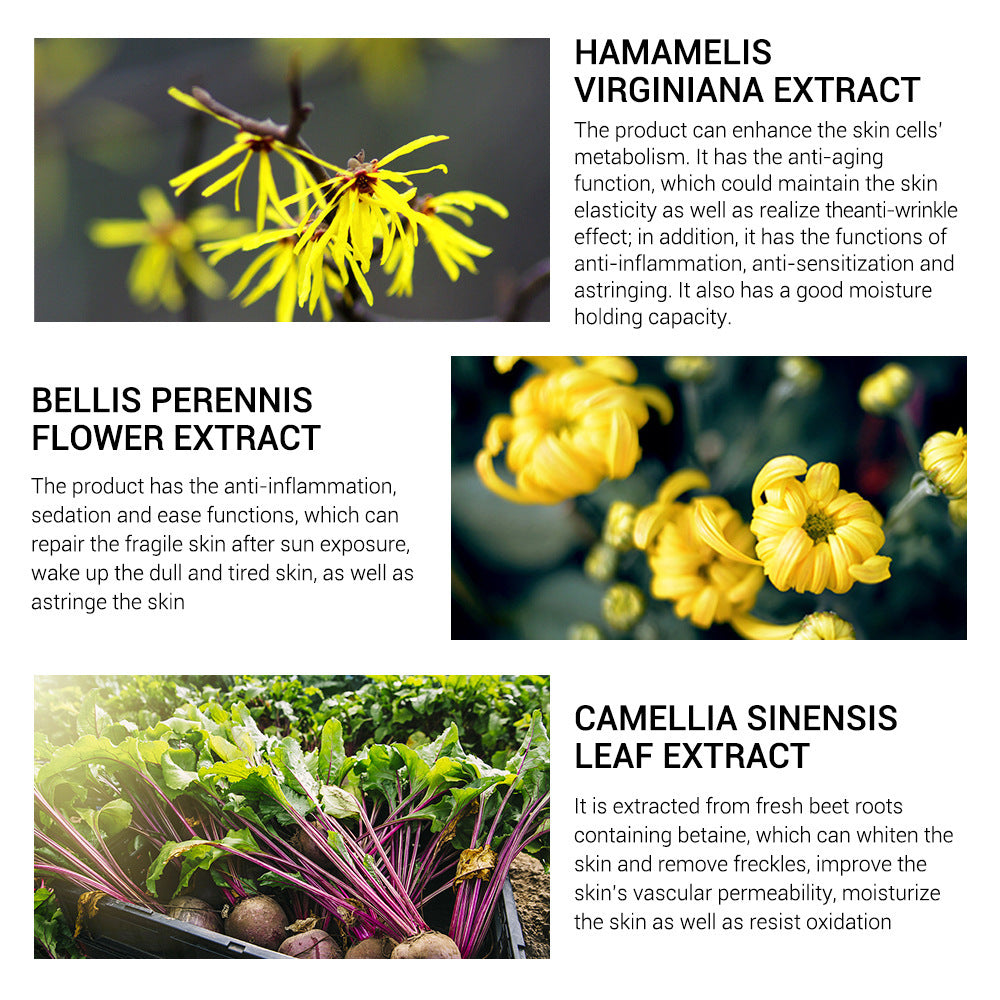 Lanbena™ - Pores Serum Hydrating Essence
